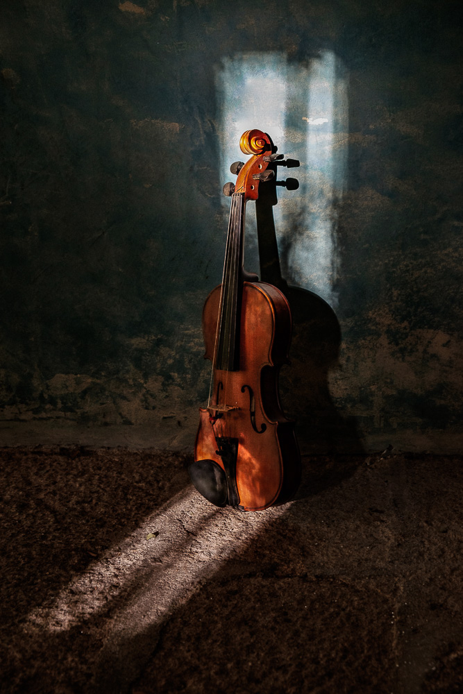 violín fotografía bodegón