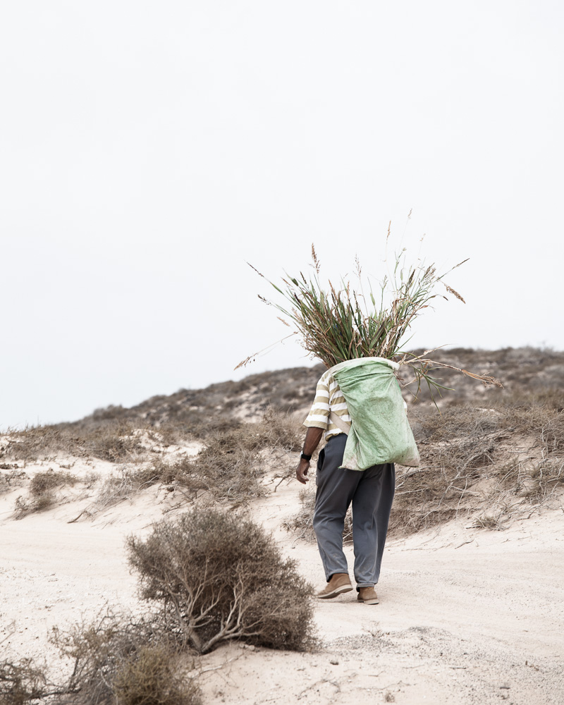 hombre cargando con hierbas en la espalda