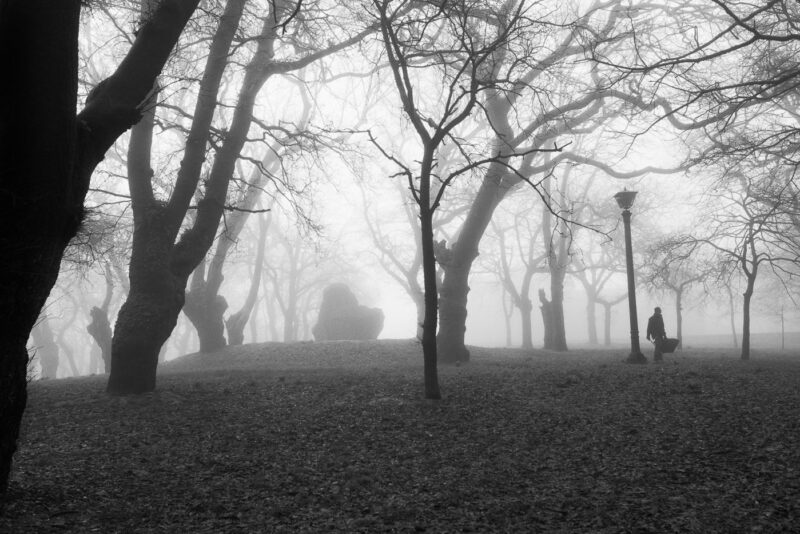 hombre caminando entre árboles invierno niebla