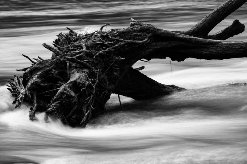 Paisajes interiores tronco de árbol caído en río