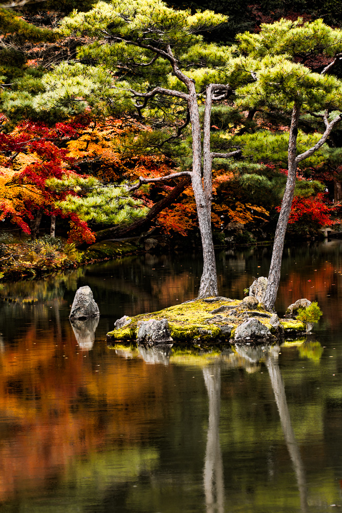 jardín zen Japón reflejo
